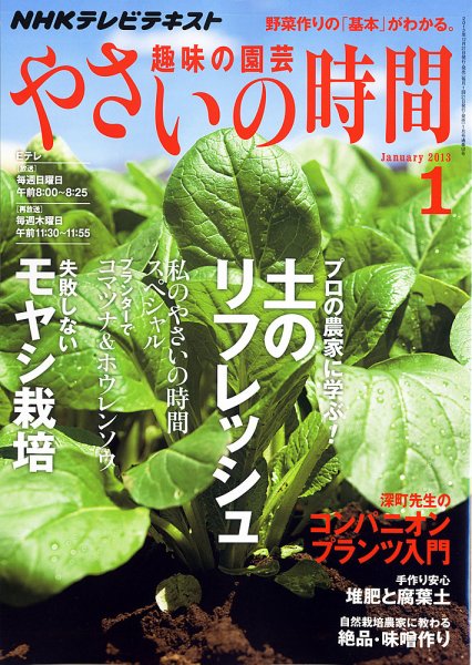 NHK 趣味の園芸 やさいの時間 1月号 (発売日2012年12月21日) 表紙