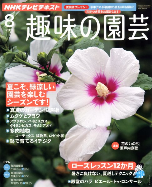 NHK 趣味の園芸 8月号 (発売日2012年07月21日) 表紙