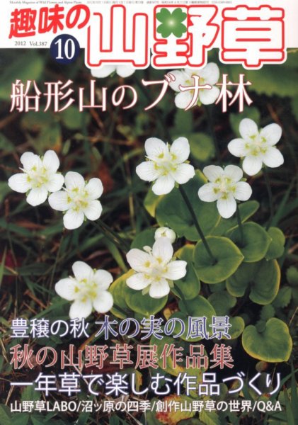 趣味の山野草 10月号 (発売日2012年09月12日) 表紙