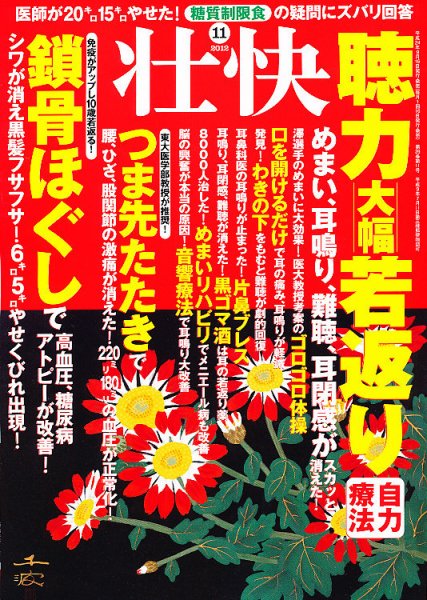 壮快 11月号 (発売日2012年09月15日) 表紙