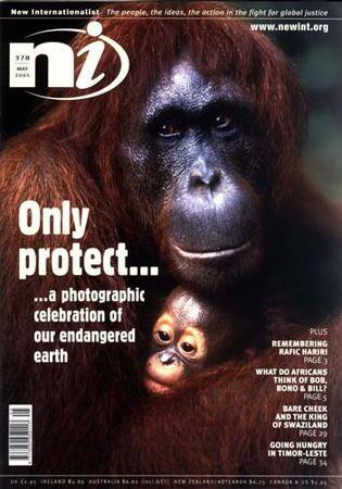 New Internationalist（ニューインターナショナリスト）英語版 No.378 (発売日2005年05月30日) 表紙