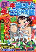 超本当にあった生ここだけの話 11月号 (発売日2012年09月26日) 表紙