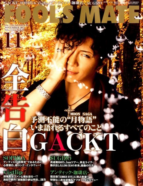 フールズメイト 11月号 (発売日2012年09月29日) 表紙