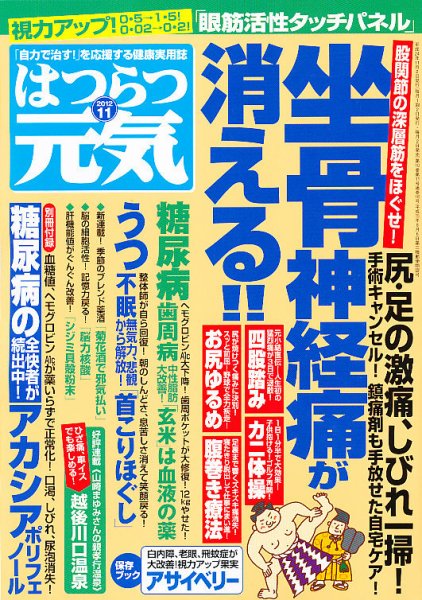 はつらつ元気 11月号 (発売日2012年10月02日) 表紙