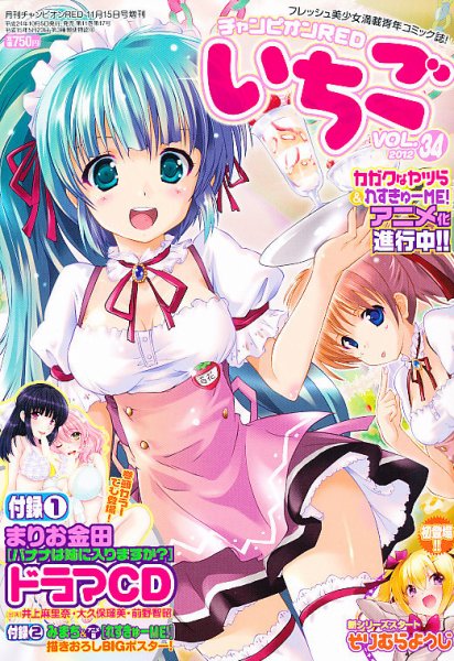 増刊 チャンピオン RED (レッド) 11月号(VOL.34) (発売日2012年10月05日) 表紙