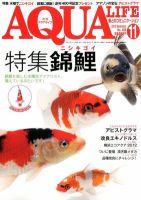 アクアライフ 11月号 表紙