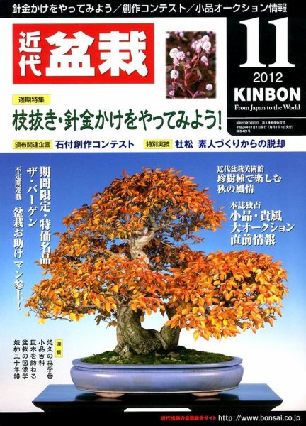 月刊 近代盆栽 11月号 (発売日2012年10月04日) 表紙
