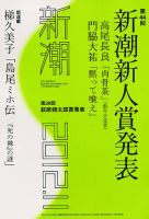 新潮 11月号 表紙