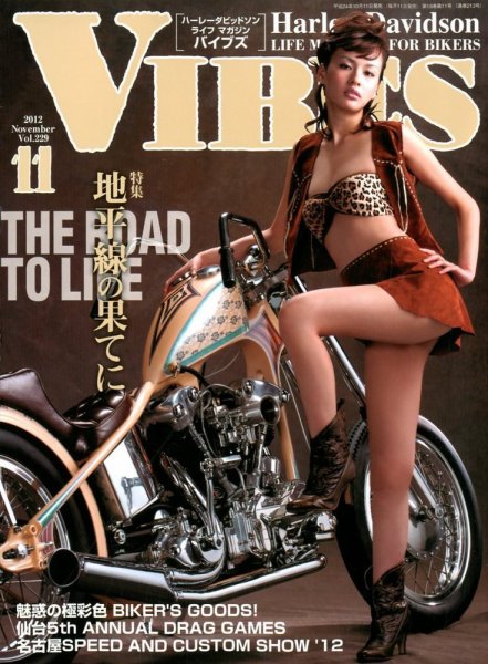 VIBES（バイブズ） 11月号 (発売日2012年10月11日) 表紙