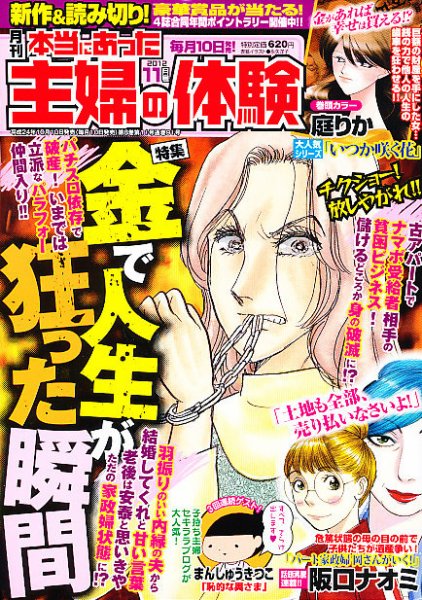 本当にあった主婦の体験 11月号 (発売日2012年10月10日) 表紙