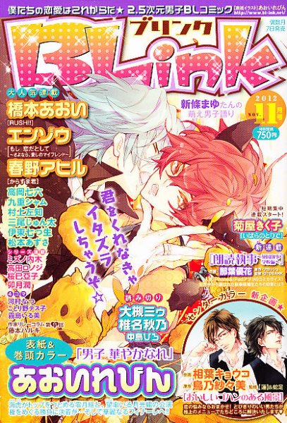 BLink (ブリンク) 11月号 (発売日2012年10月06日) 表紙