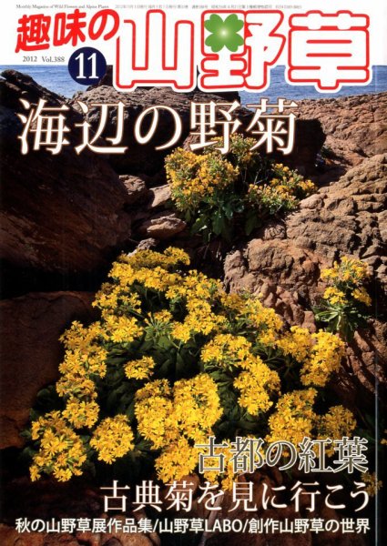 趣味の山野草 11月号 (発売日2012年10月12日) 表紙