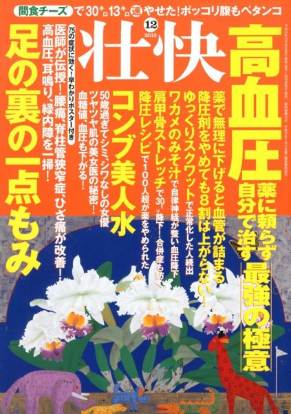 壮快 12月号 (発売日2012年10月16日) 表紙