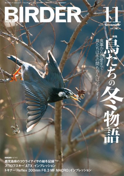 BIRDER（バーダー） 2012年11月号 (発売日2012年10月16日) 表紙