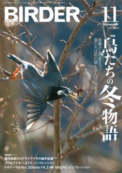 BIRDER（バーダー） 2012年11月号 (発売日2012年10月16日) 表紙
