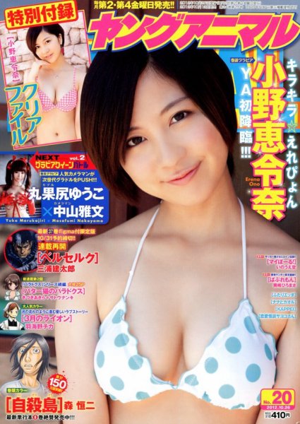 ヤングアニマル 10/26号 (発売日2012年10月12日) 表紙