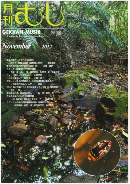 月刊むし 501 (発売日2012年10月22日) 表紙