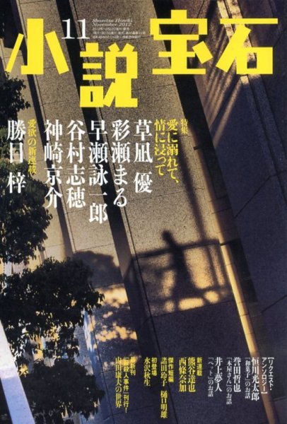 小説宝石 11月号 (発売日2012年10月22日) 表紙
