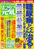 はつらつ元気 12月号 (発売日2012年11月02日) 表紙