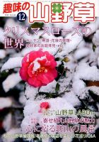趣味の山野草 12月号 (発売日2012年11月12日) 表紙