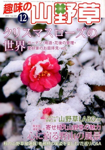 趣味の山野草 12月号 (発売日2012年11月12日) 表紙