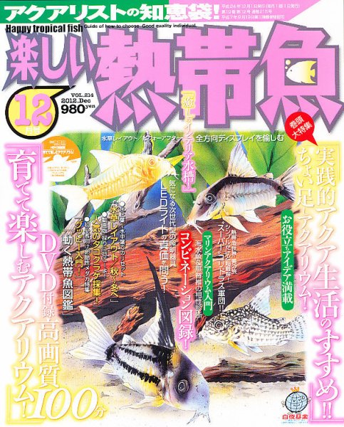 楽しい熱帯魚 12月号 (発売日2012年11月09日) 表紙