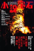 小説宝石 12月号 表紙
