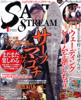 SALT＆STREAM（ソルト＆ストリーム） 1月号 (発売日2012年11月21日) 表紙