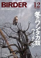 BIRDER（バーダー） 2012年12月号 (発売日2012年11月16日) 表紙