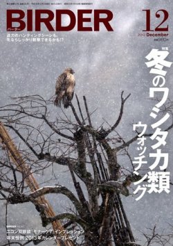 BIRDER（バーダー） 2012年12月号 (発売日2012年11月16日) 表紙
