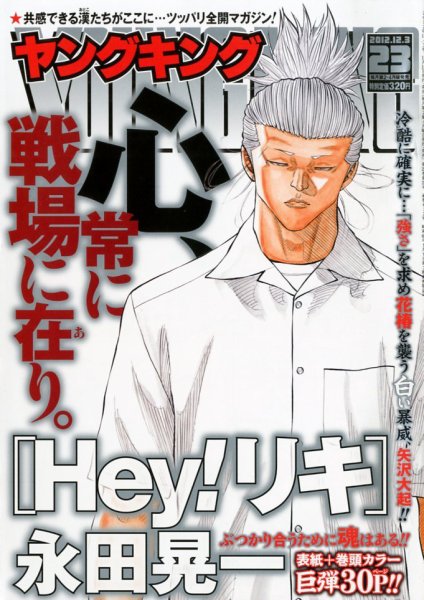 ヤングキング 12/3号 (発売日2012年11月12日) 表紙