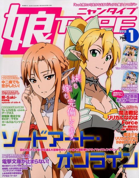 娘TYPE （にゃんタイプ） 1月号 (発売日2012年11月30日) 表紙