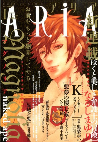 ARIA  1月号 (発売日2012年11月28日) 表紙
