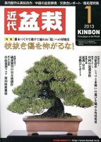 月刊 近代盆栽 1月号 表紙