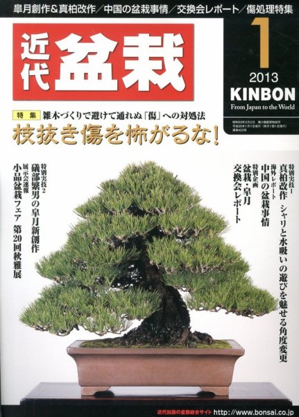 月刊 近代盆栽 1月号 (発売日2012年12月04日) 表紙
