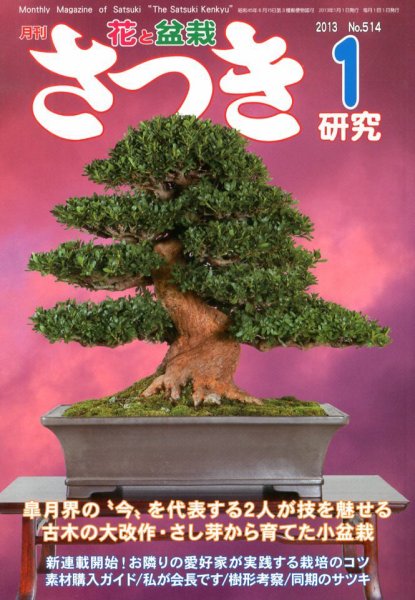 さつき研究 1月号 (発売日2012年12月05日) 表紙