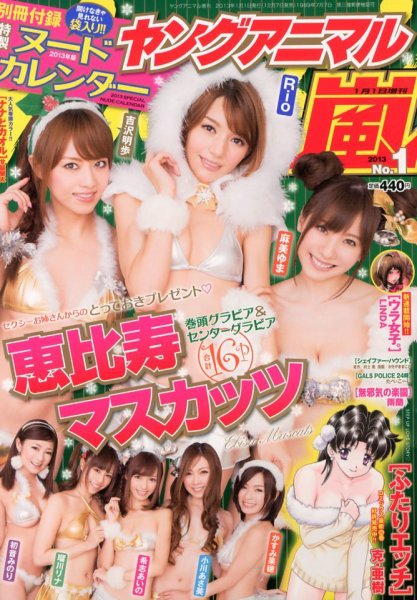 ヤングアニマル嵐 1/1号 (発売日2012年12月07日) 表紙