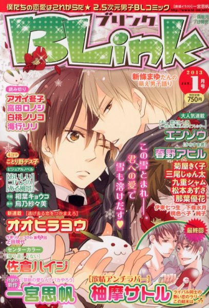 BLink (ブリンク) 1月号 (発売日2012年12月07日) 表紙