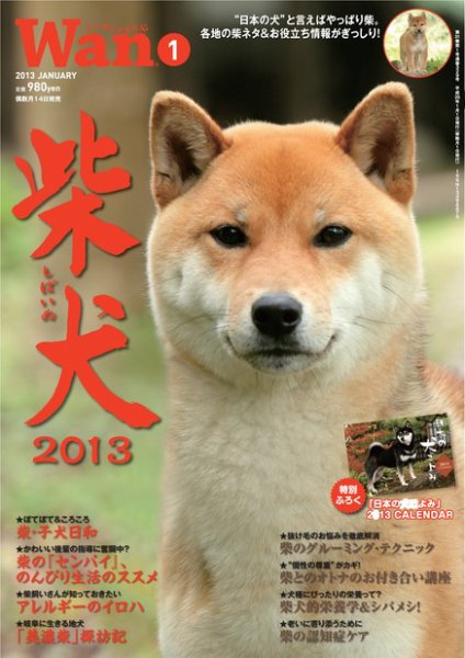 wan（わん） 2013年1月号 (発売日2012年12月14日) 表紙