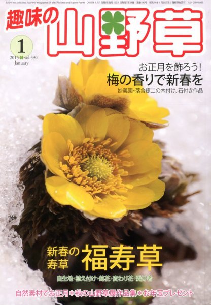趣味の山野草 1月号 (発売日2012年12月12日) 表紙