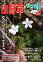 山野草とミニ盆栽 1月号 (発売日2012年12月12日) 表紙