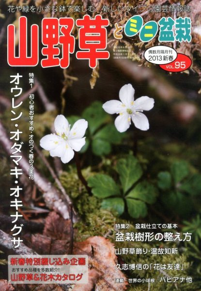 山野草とミニ盆栽 1月号 (発売日2012年12月12日) 表紙