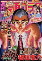 週刊漫画ゴラク 12/14号 表紙