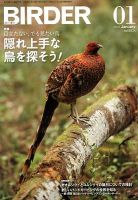 BIRDER（バーダー） 2013年1月号 表紙