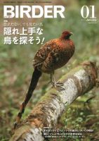 BIRDER（バーダー） 2013年1月号 表紙