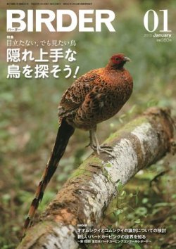 BIRDER（バーダー） 2013年1月号 (発売日2012年12月15日) 表紙