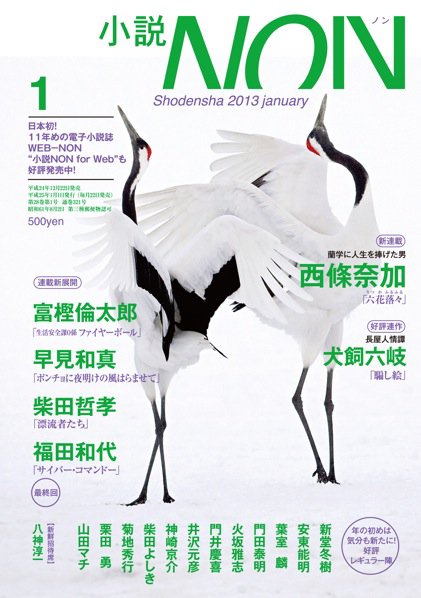 小説NON 1月号 (発売日2012年12月22日) 表紙
