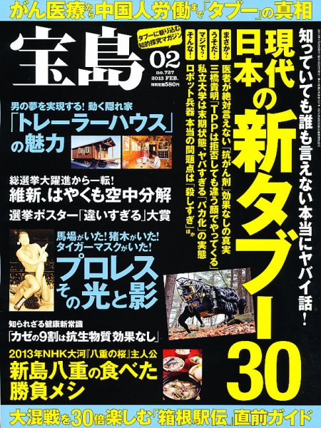 宝島 2月号 (発売日2012年12月25日) 表紙