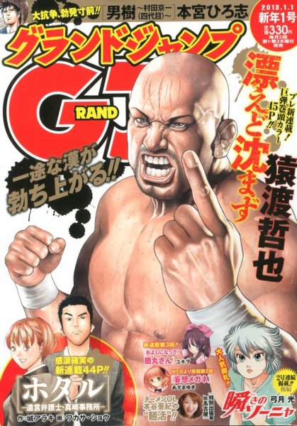 グランドジャンプ 1/1号 (発売日2012年12月05日) 表紙