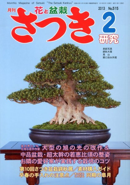 さつき研究 2月号 (発売日2012年12月28日) 表紙